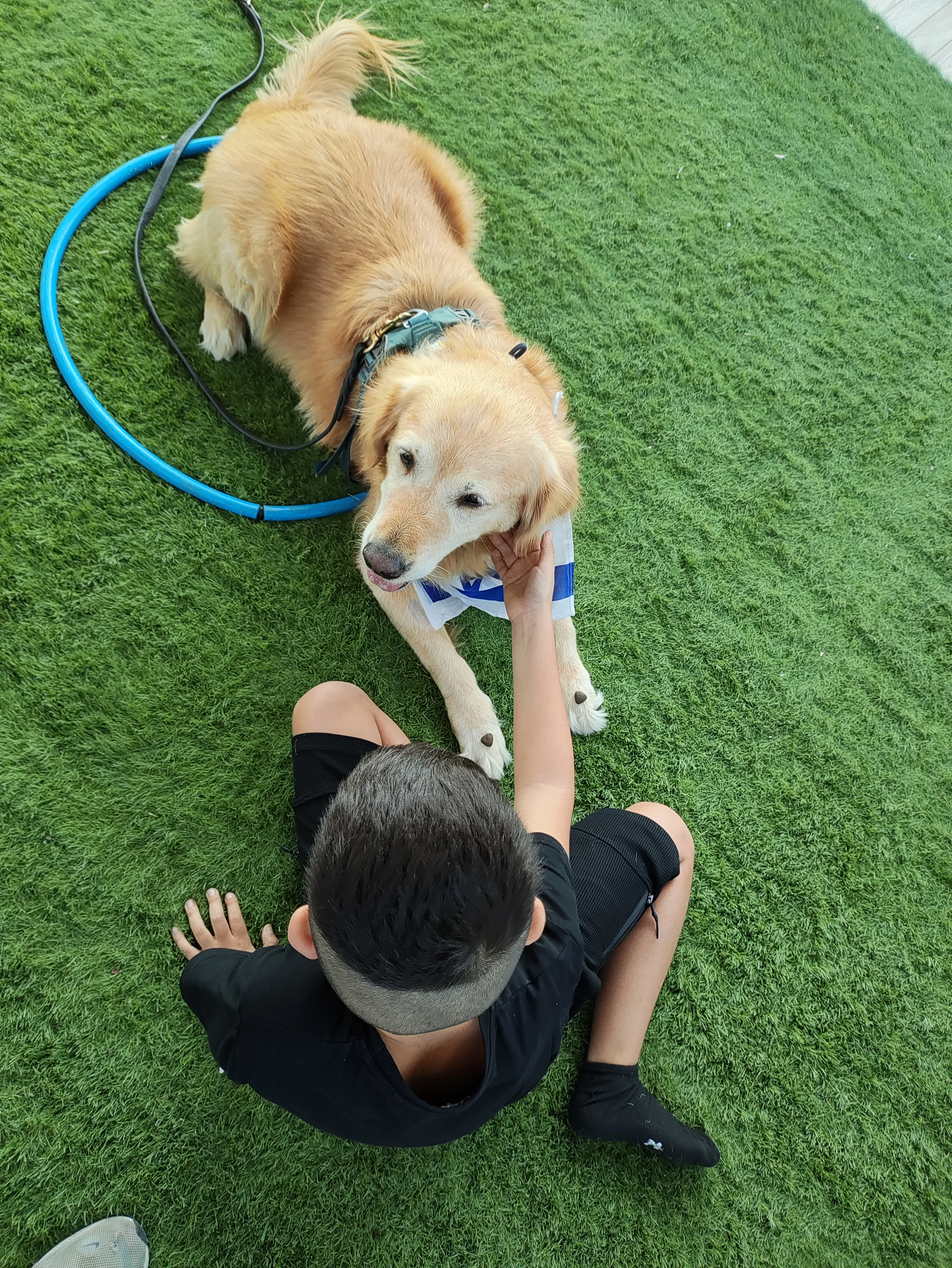 פעילות דרך הכלב