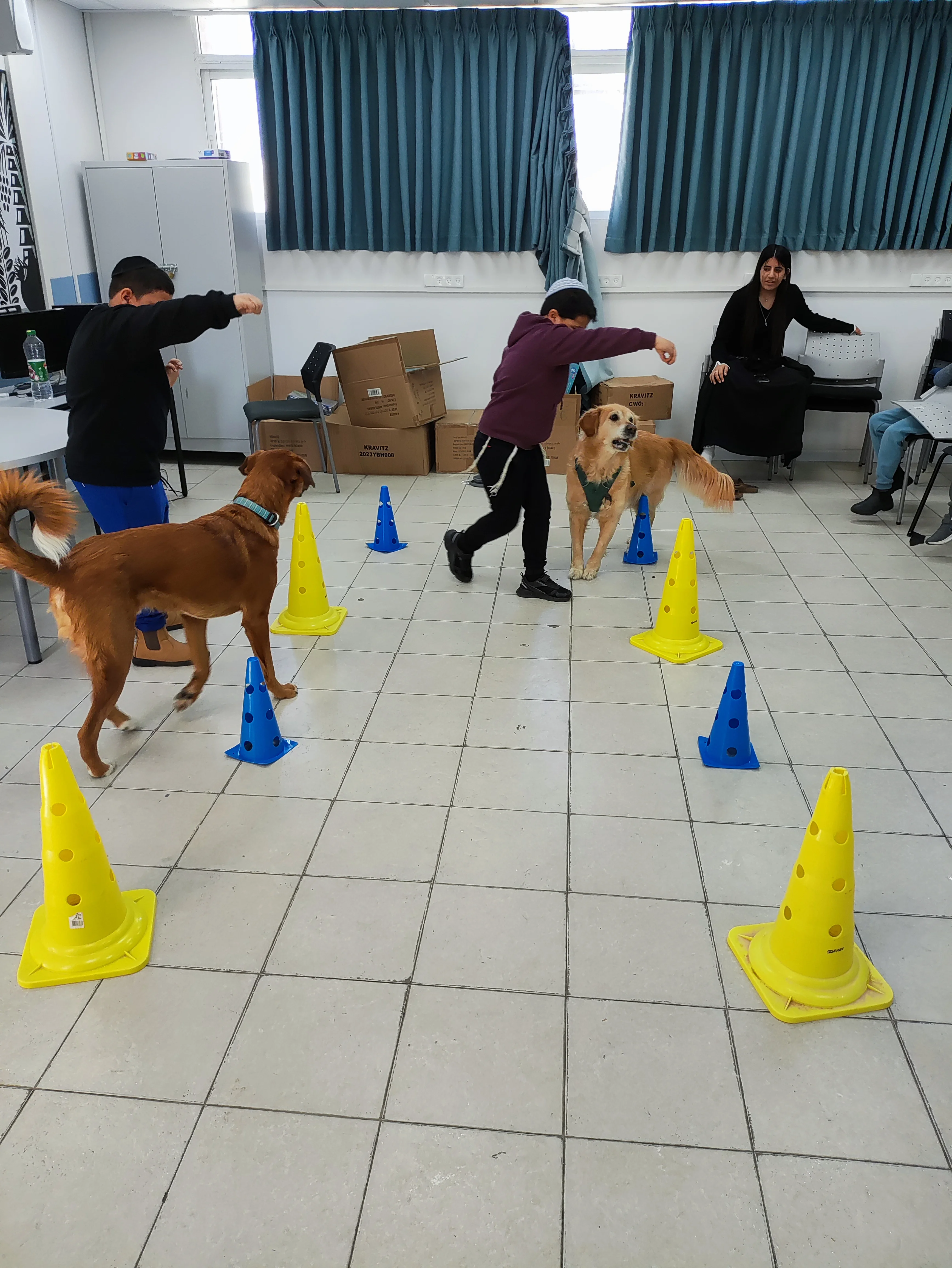 פעילות דרך הכלב