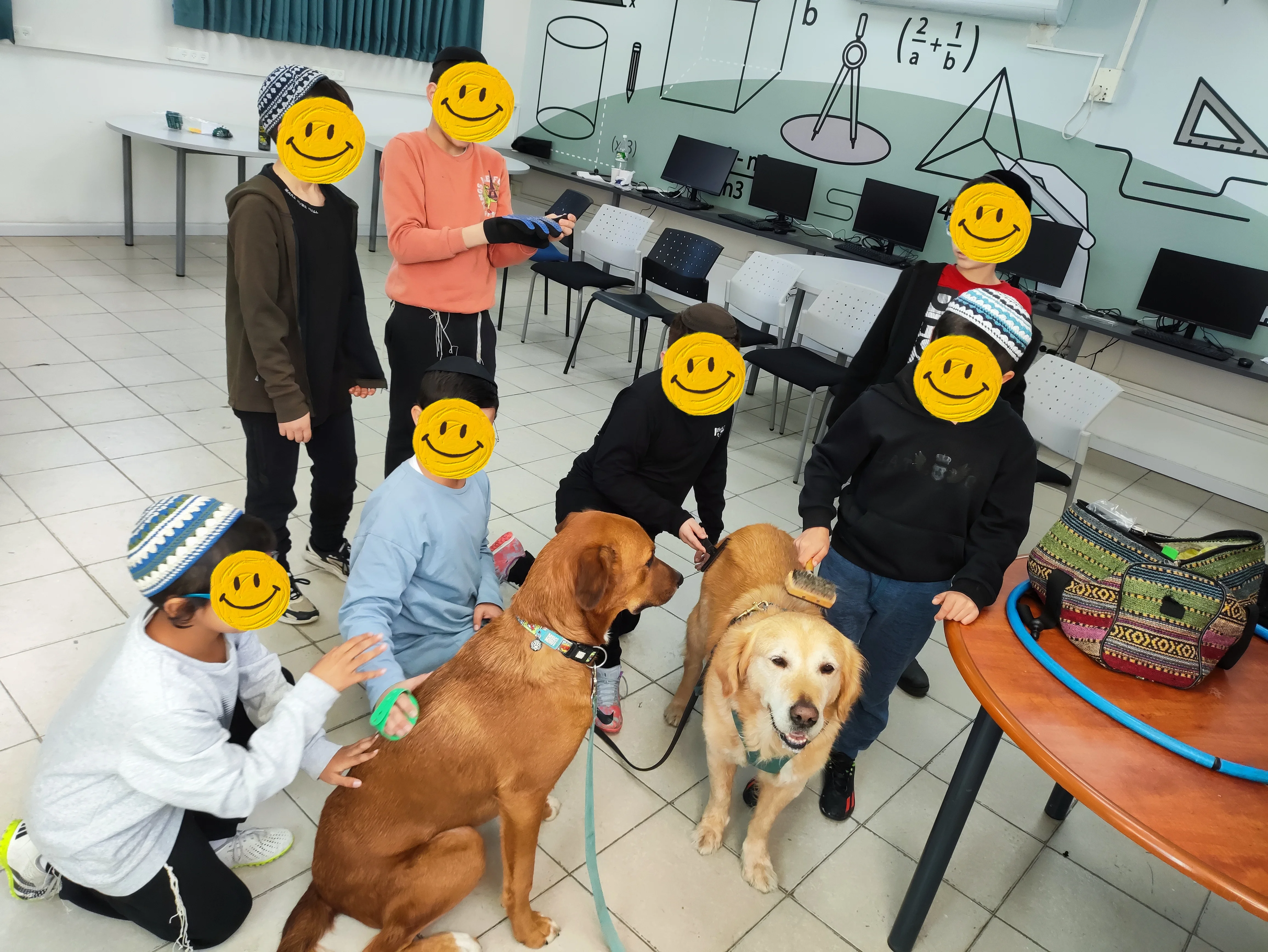 פעילות דרך הכלב