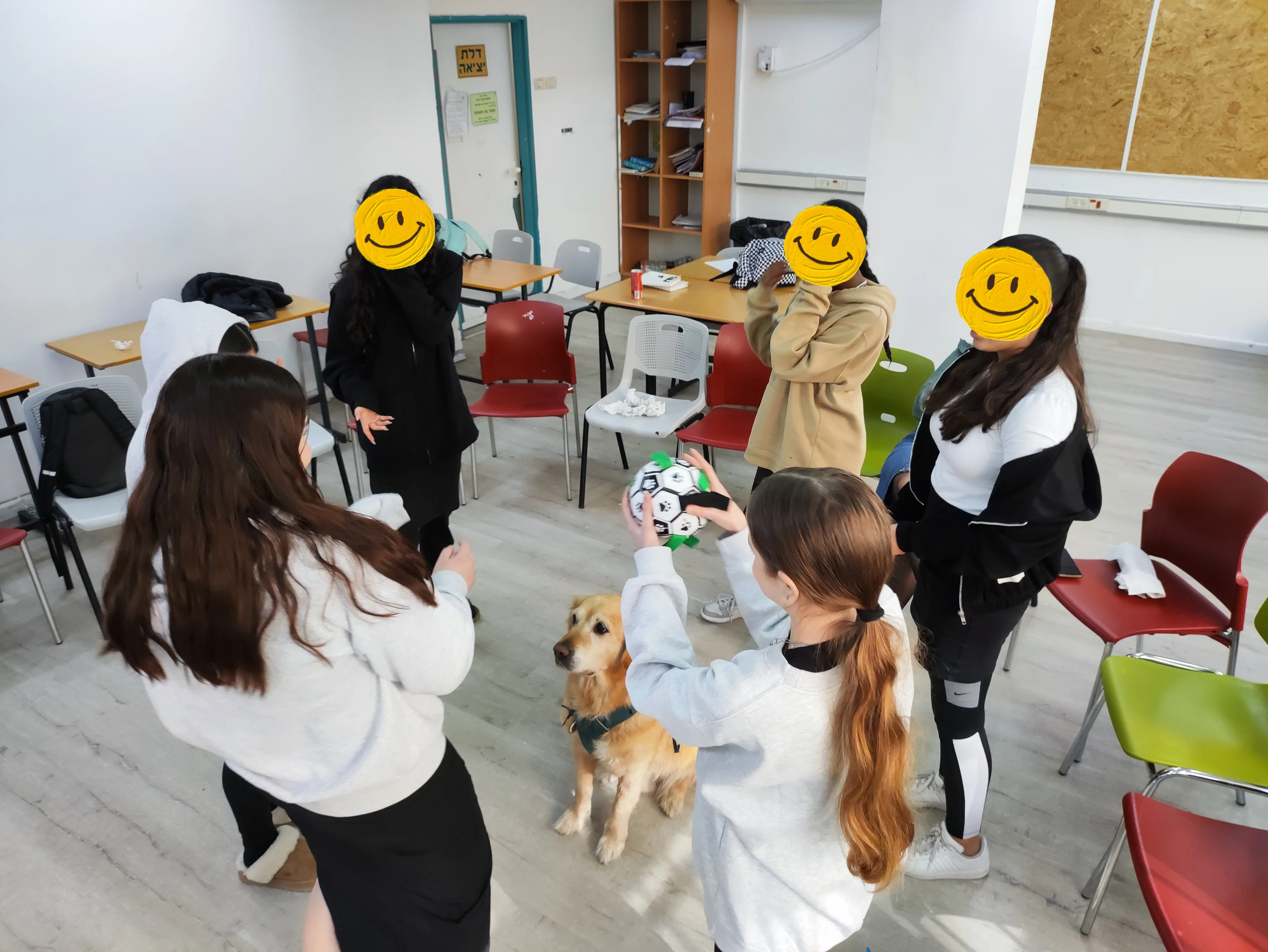 פעילות דרך הכלב