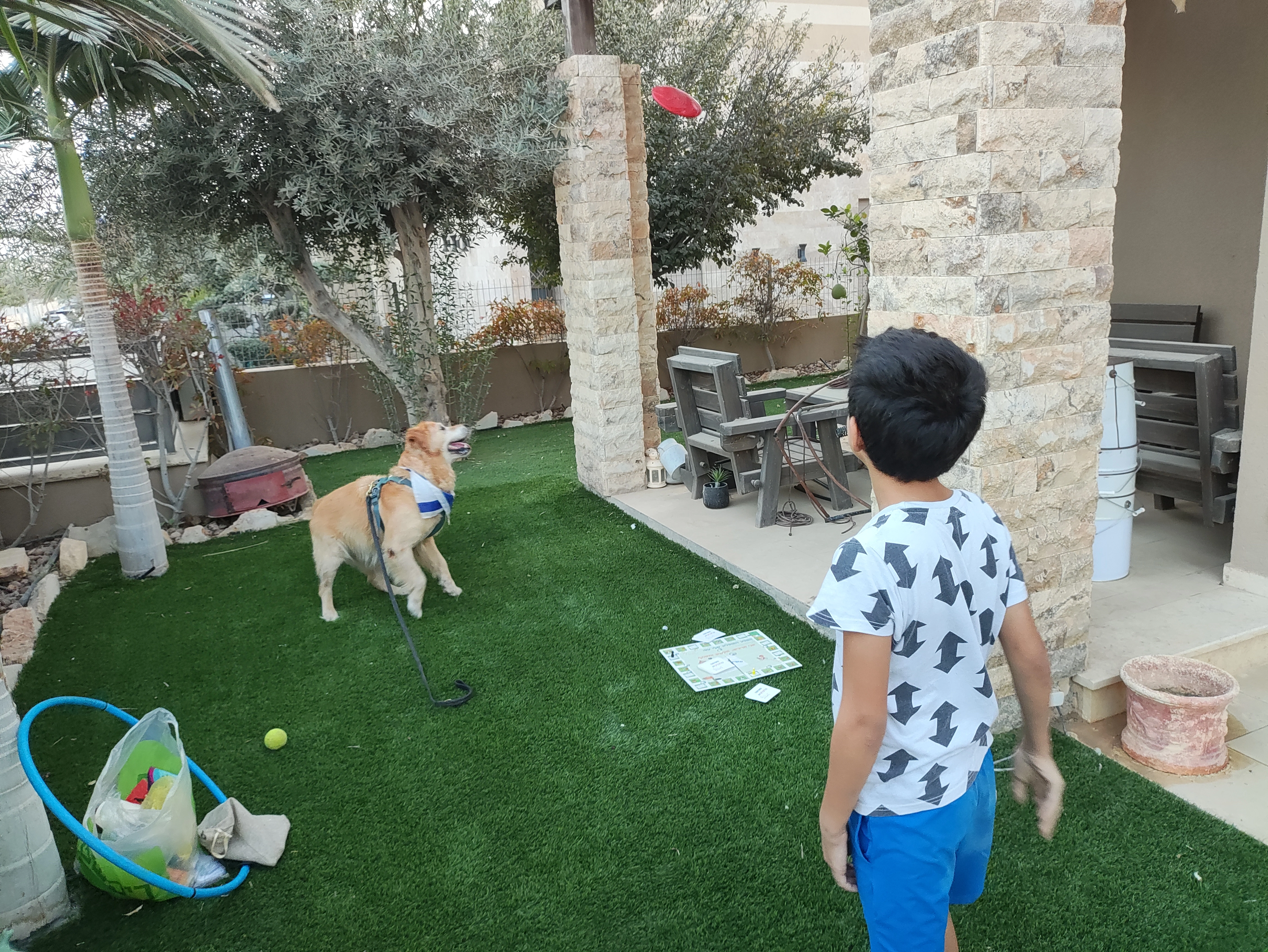 פעילות דרך הכלב