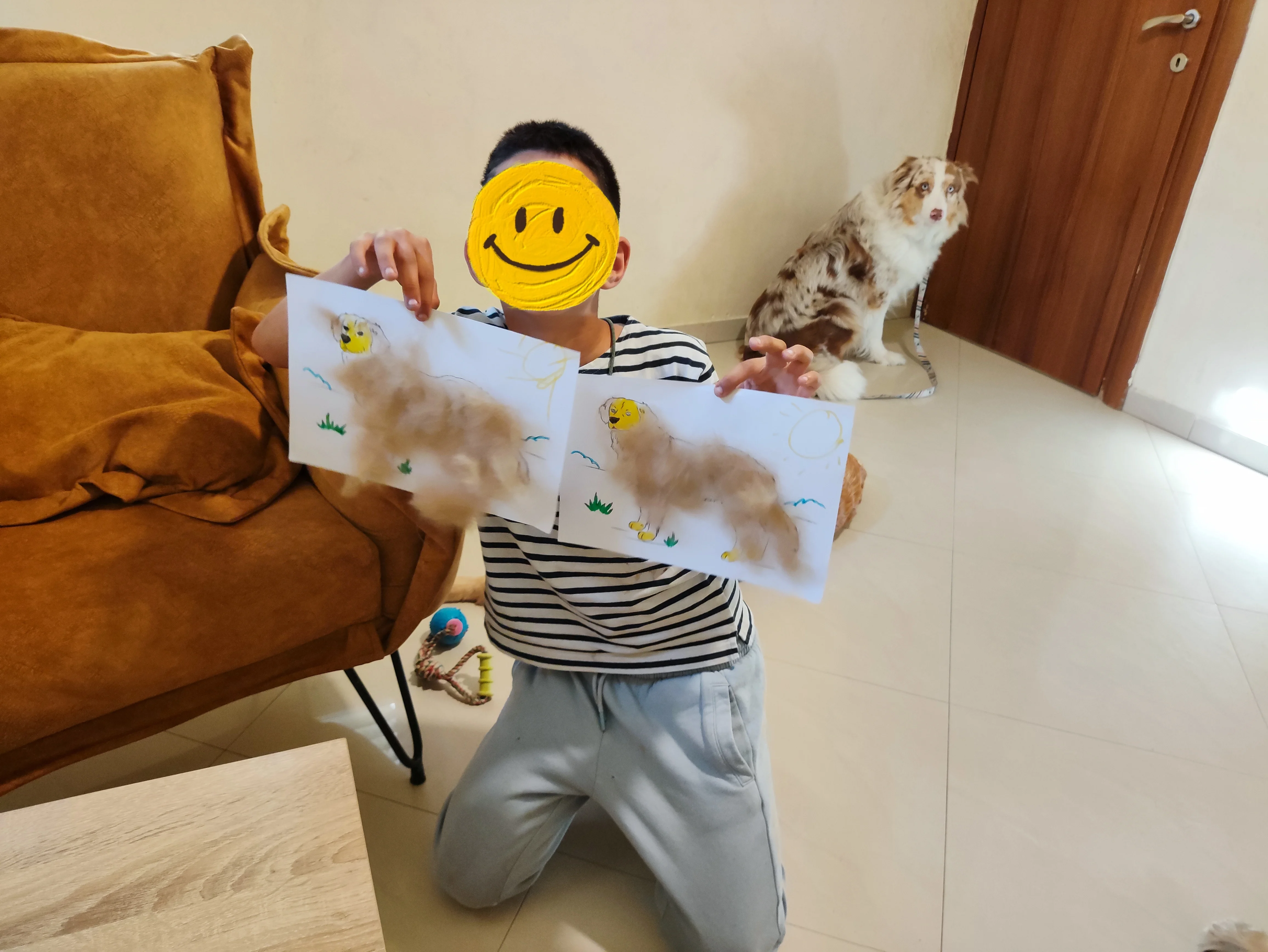 פעילות דרך הכלב