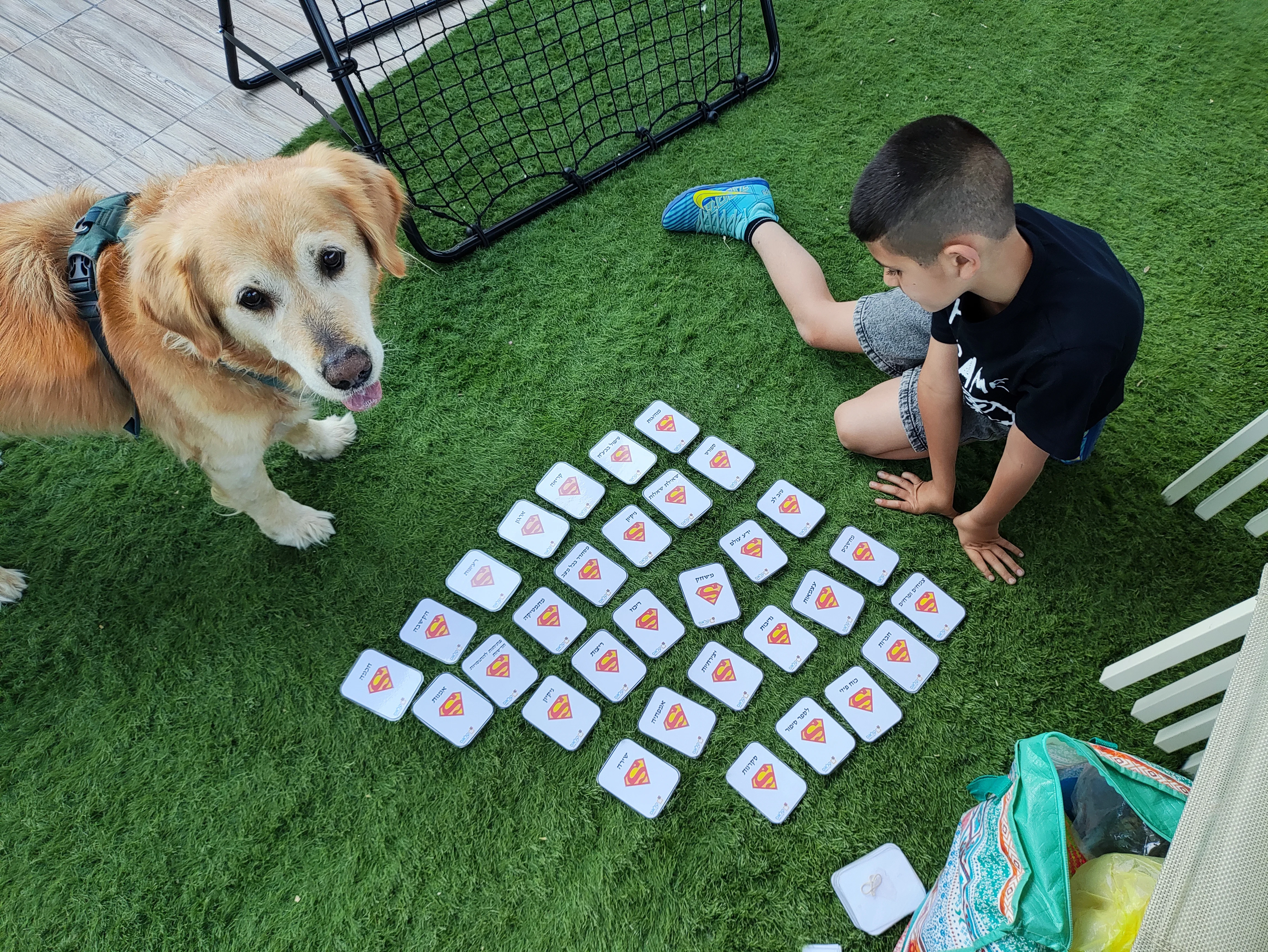 פעילות דרך הכלב