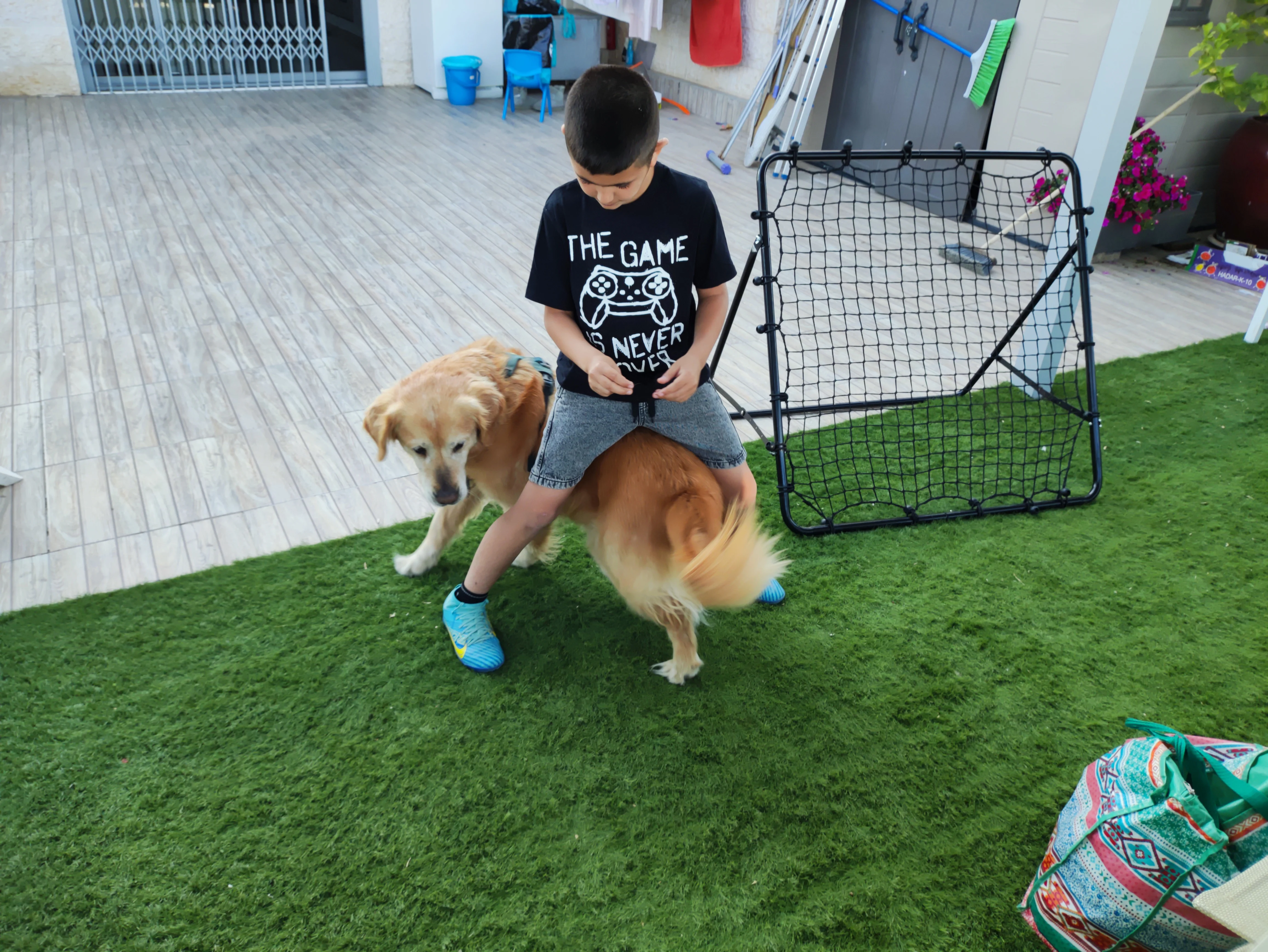 פעילות דרך הכלב