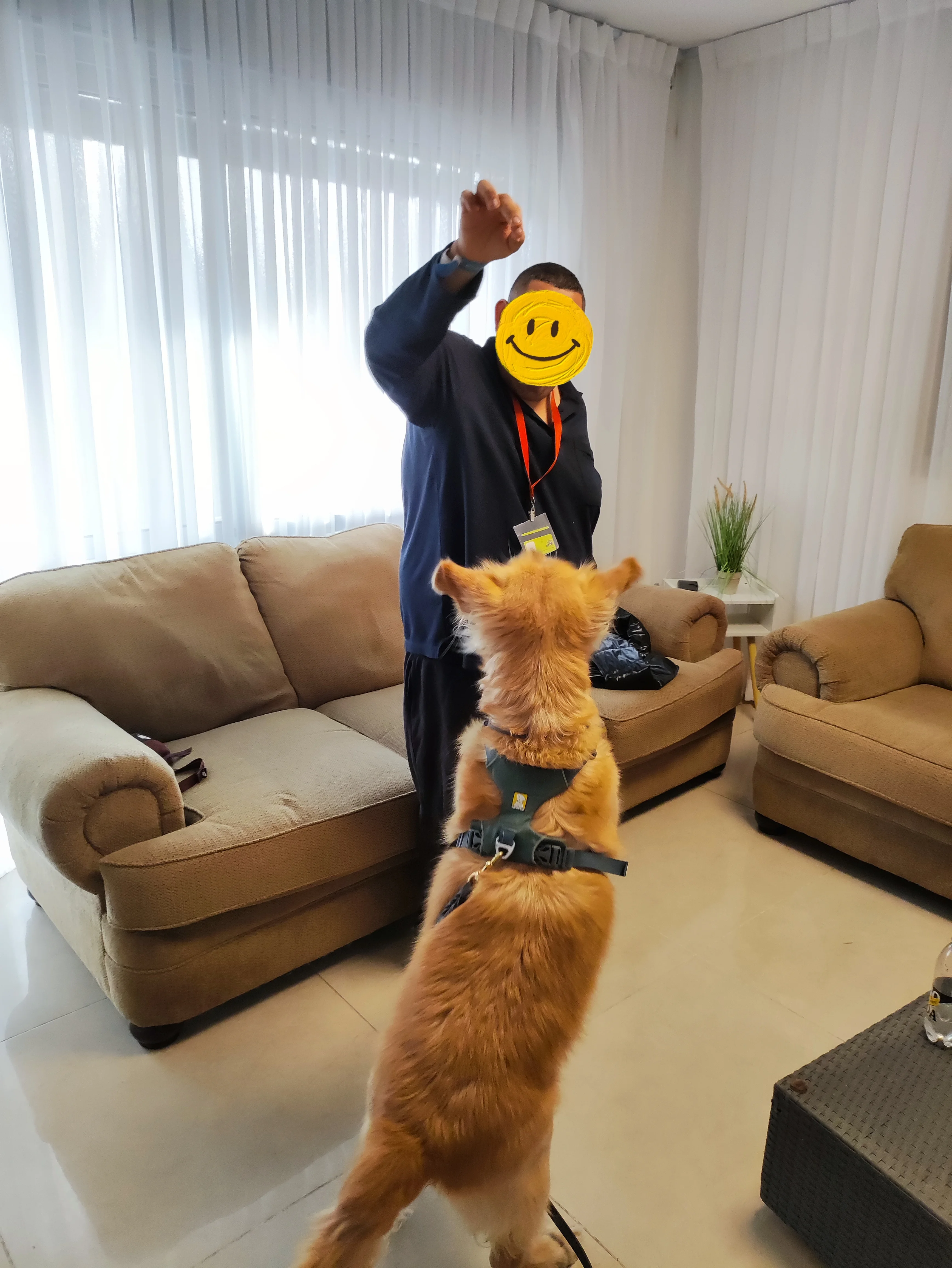 פעילות דרך הכלב