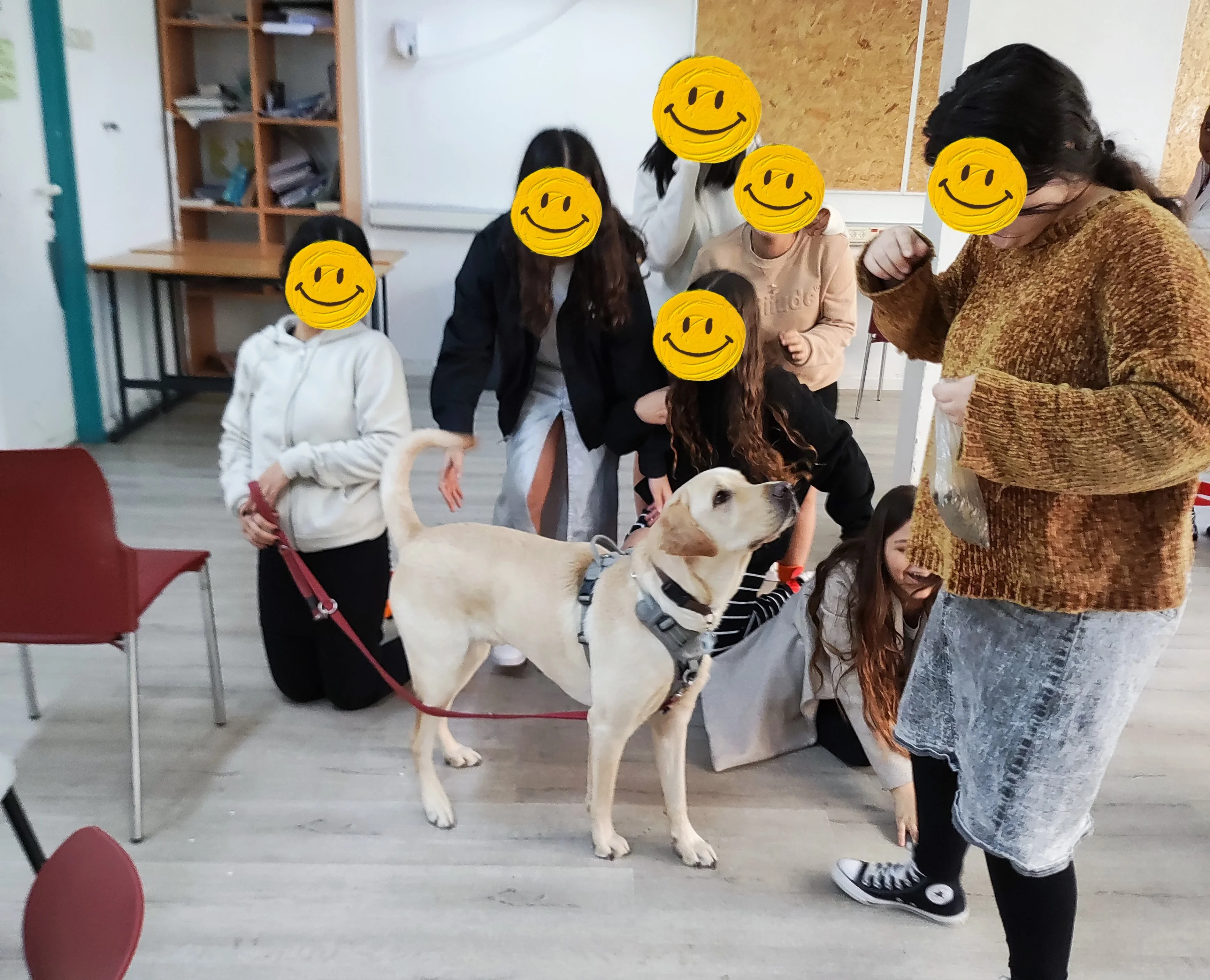 פעילות דרך הכלב