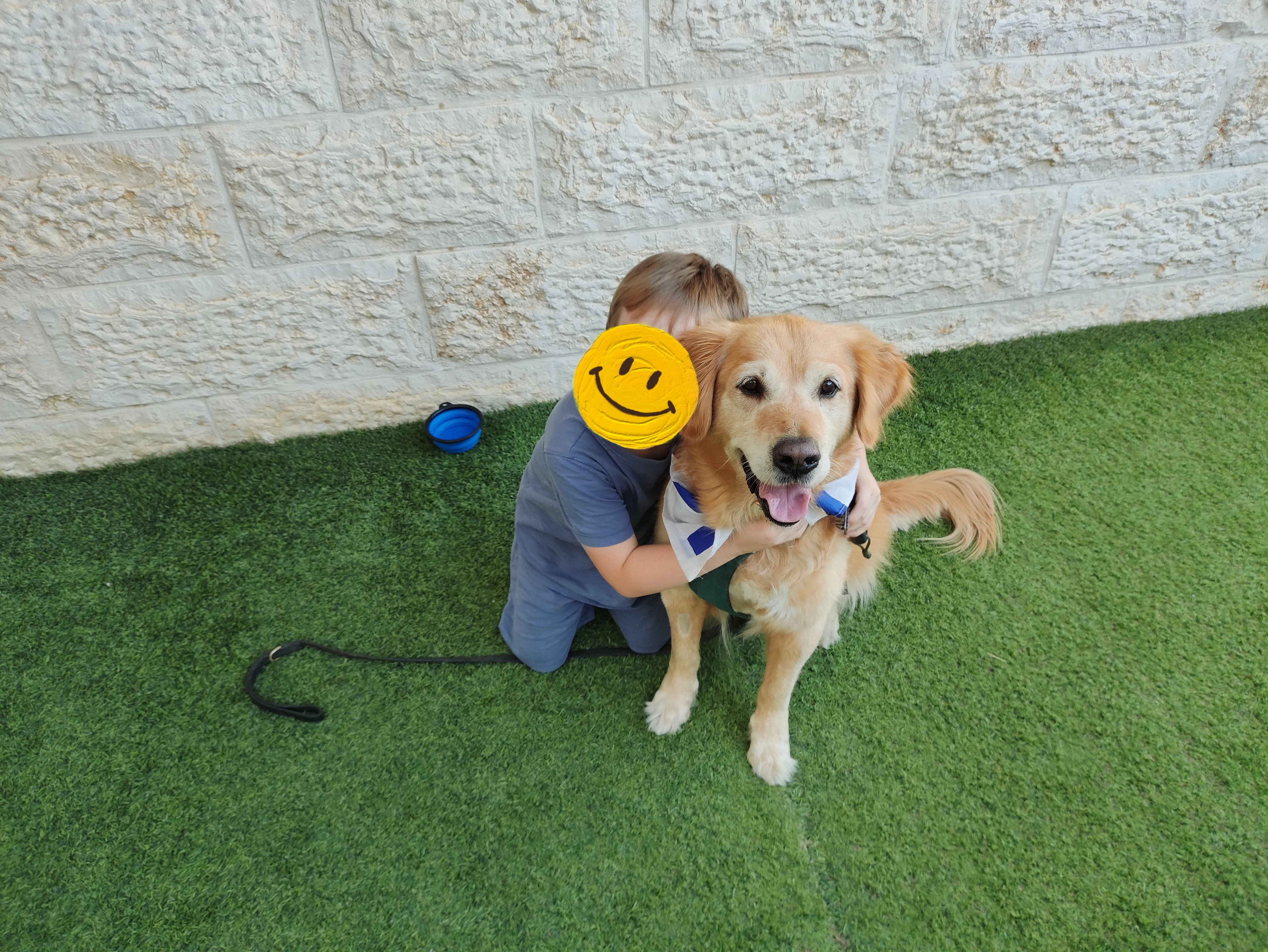 פעילות דרך הכלב